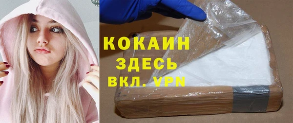 метадон Богданович