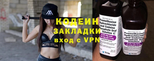 метадон Богданович