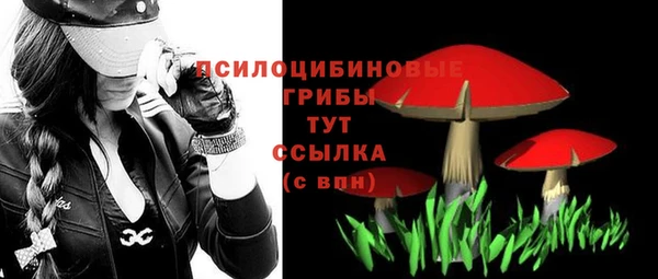 метадон Богданович