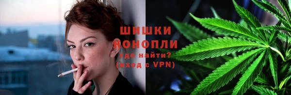 метадон Богданович