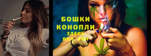 ECSTASY Богородицк