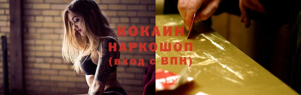 метадон Богданович