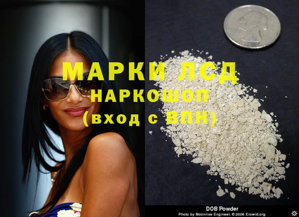 метадон Богданович