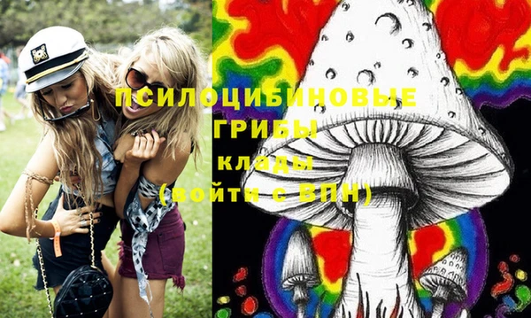 ECSTASY Богородицк
