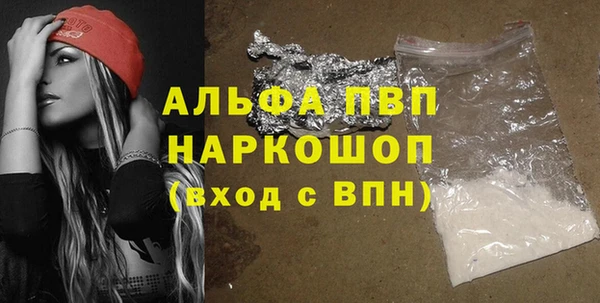 ECSTASY Богородицк