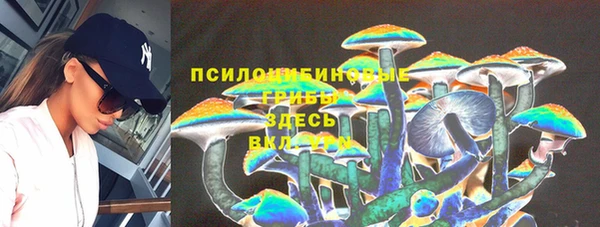 метадон Богданович