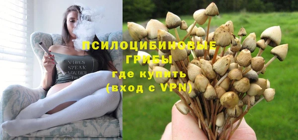 ECSTASY Богородицк
