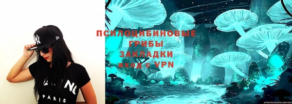 ECSTASY Богородицк