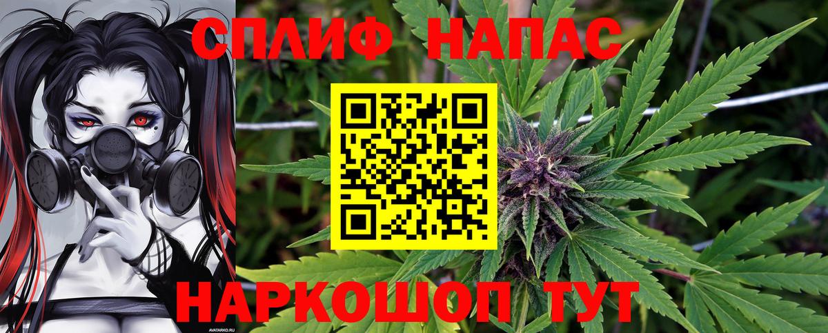 Канабис Ganja  Каннабис сатива  Вход с VPN  Бор 